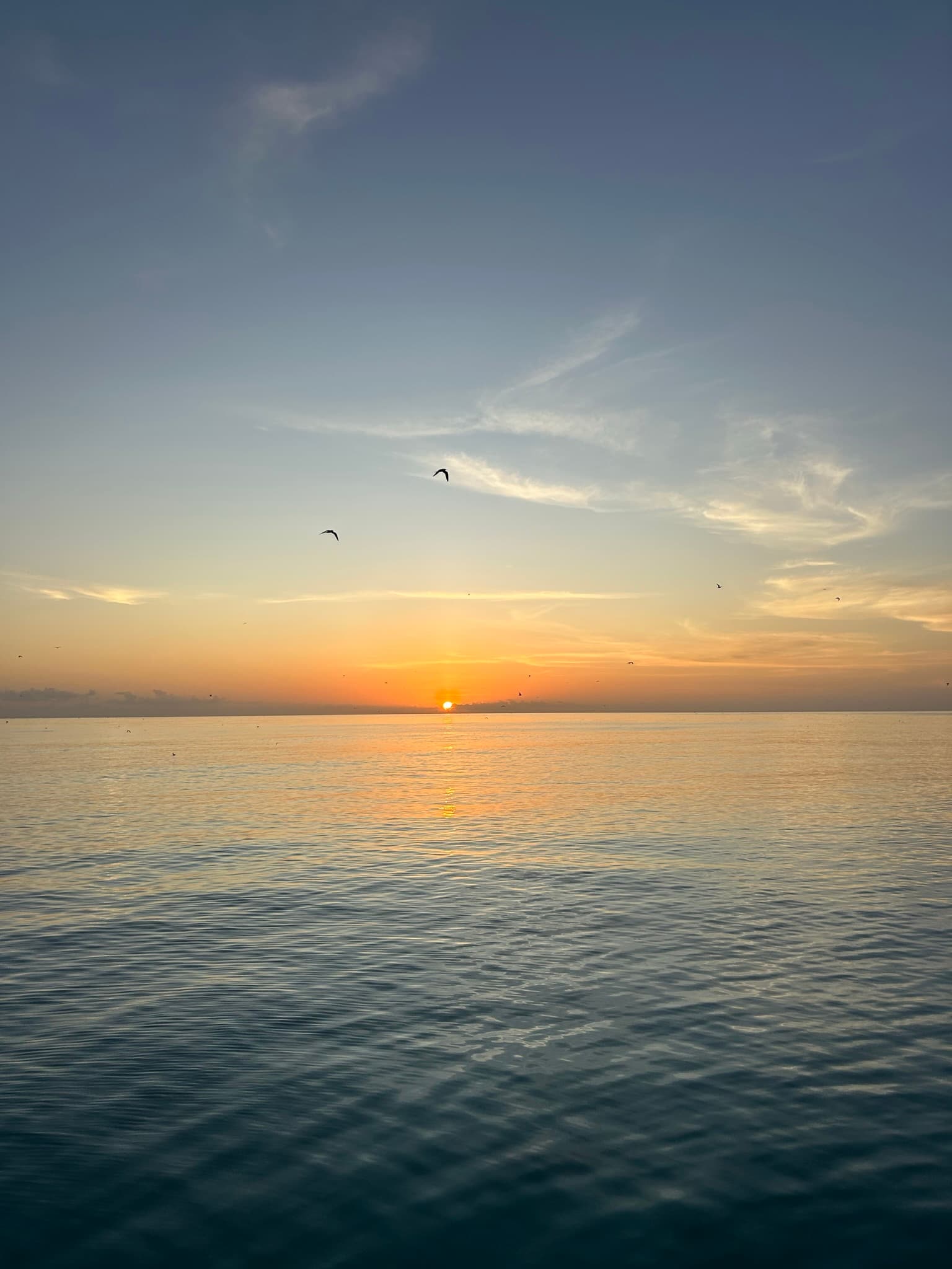 Sunset excursion